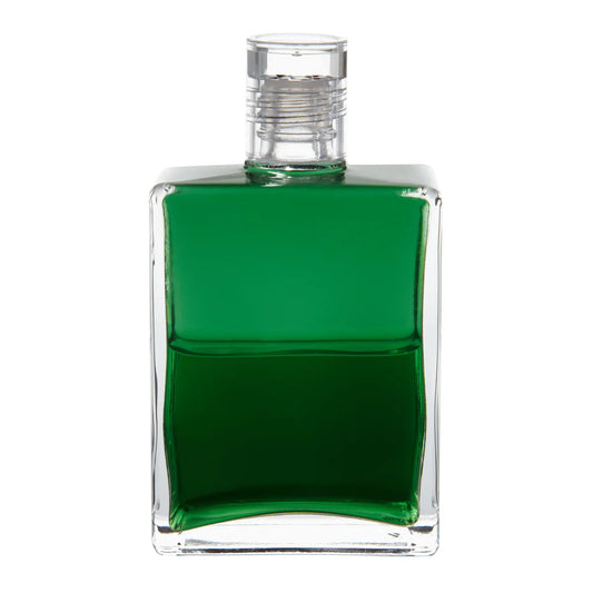 010 - Green / Green Go Hug a Tree
