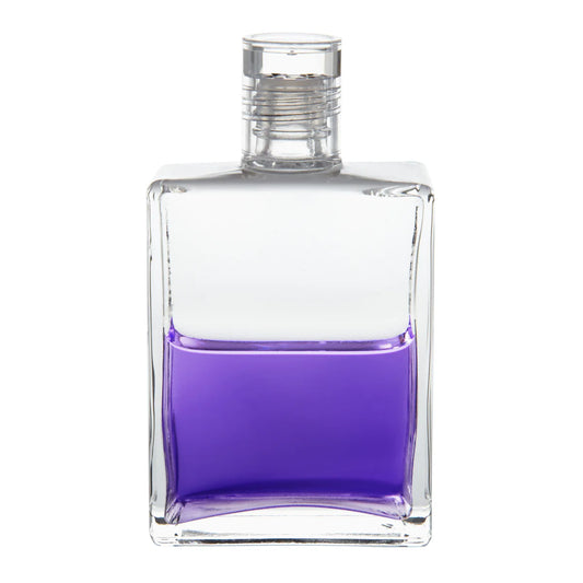 015 - Clear / Violet Service in the New Aeon