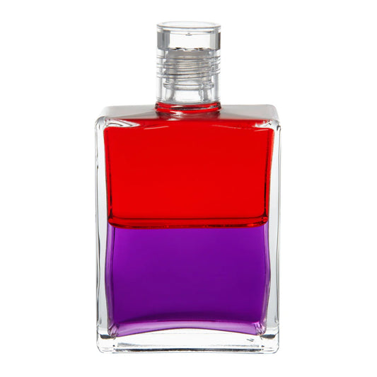 019 - Red / Purple Living in the Material World