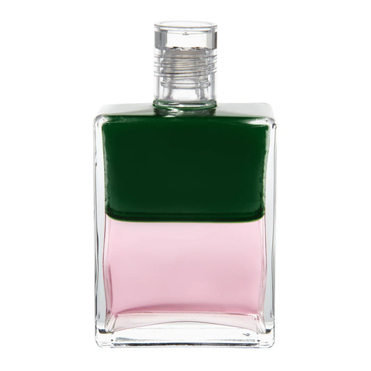 021 - Green / Pink New Beginning for Love